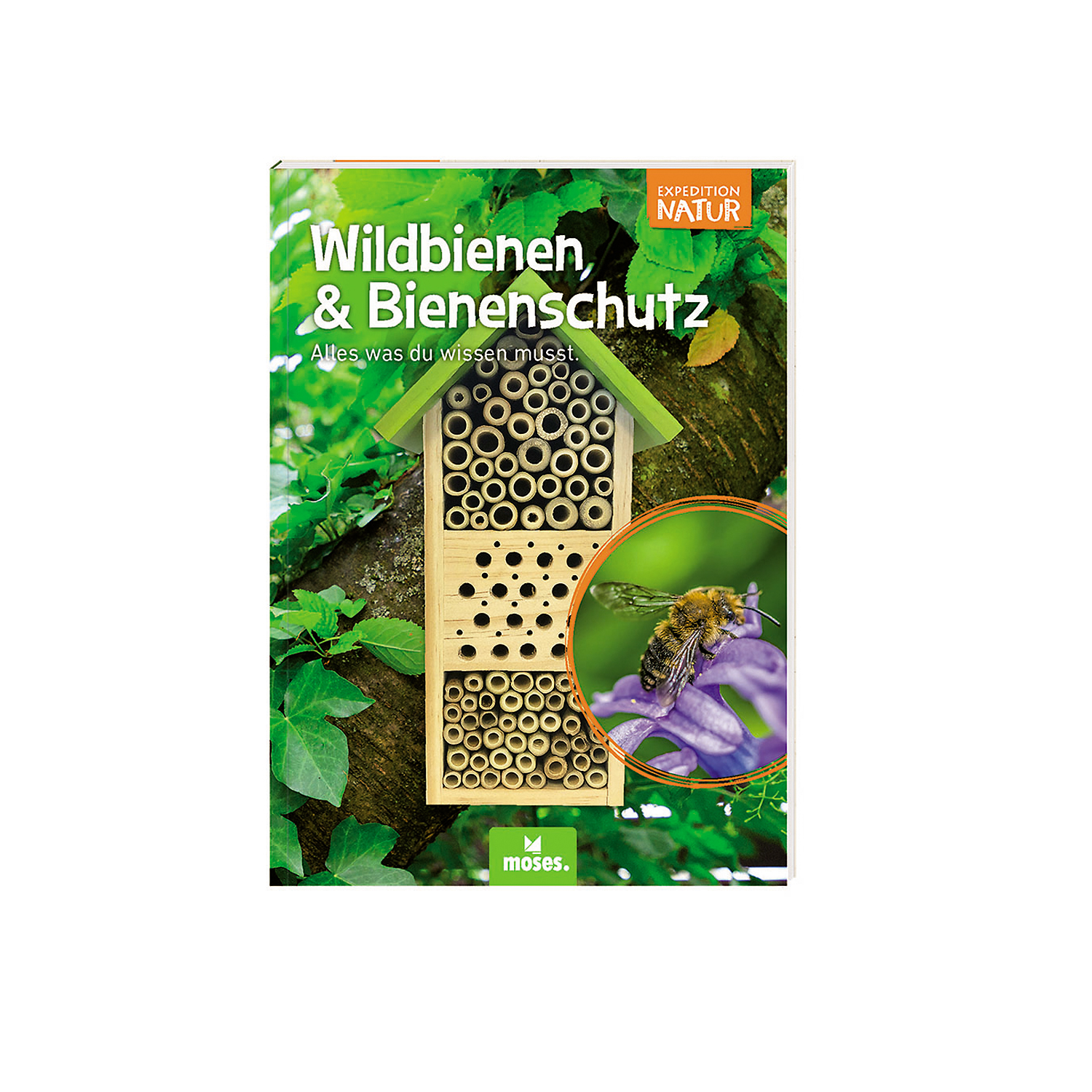 Expedition Natur Bienenhotel