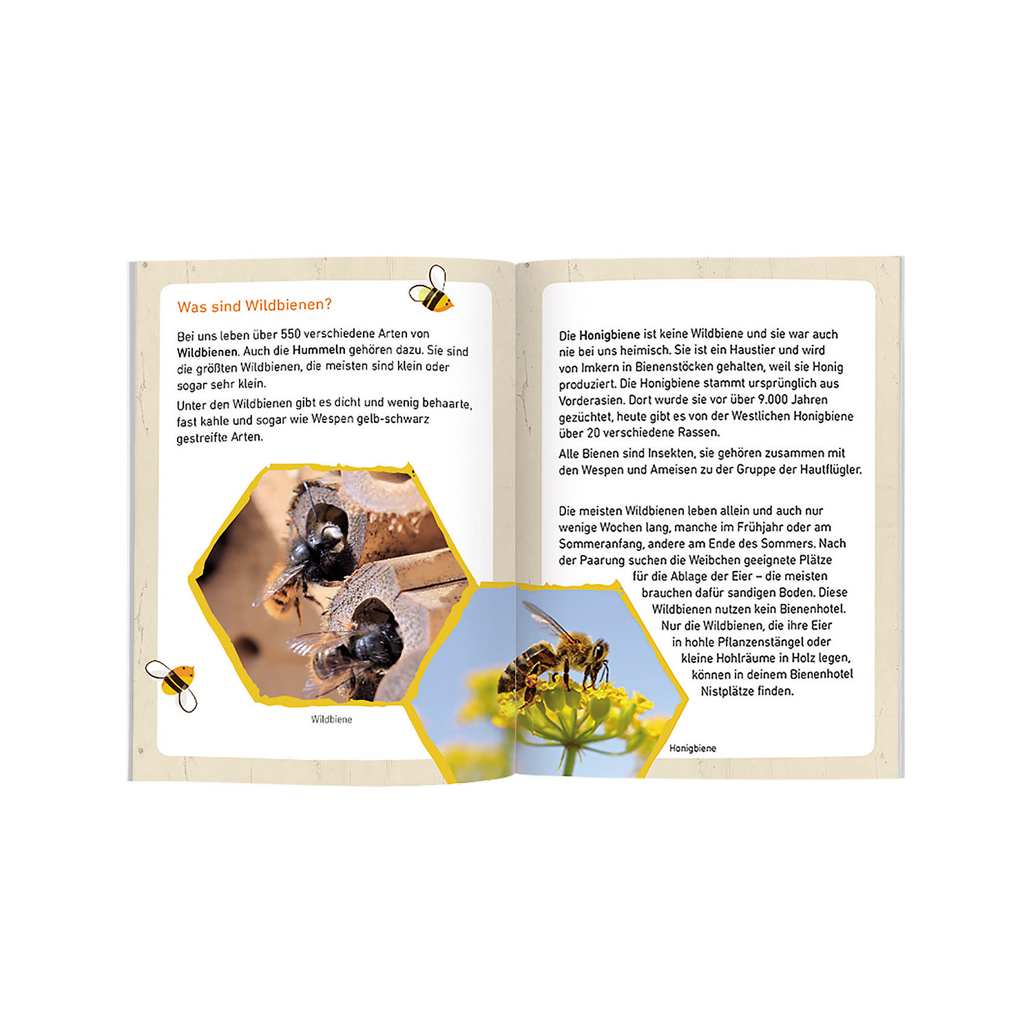 Expedition Natur Bienenhotel